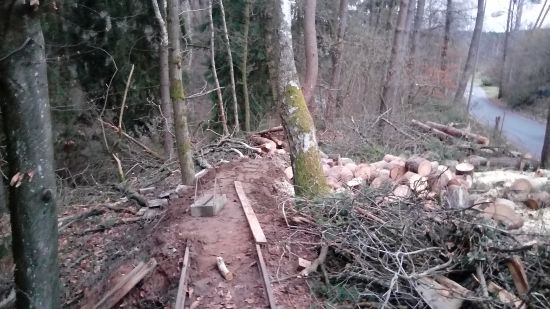 Gesägtes Holz