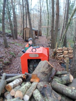 schönes Arbeitsfoto