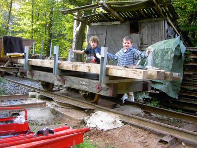 Hier der Holzrungenwagen