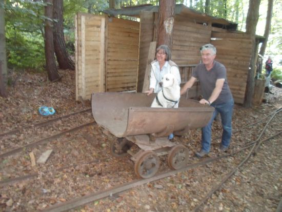 belohnung für den Hund