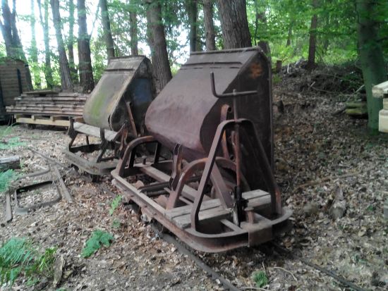 Die gebremste Lore im Wald