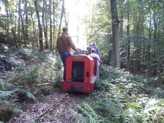 Hier die Luise (DL6) auf unserer schönen Waldstrecke