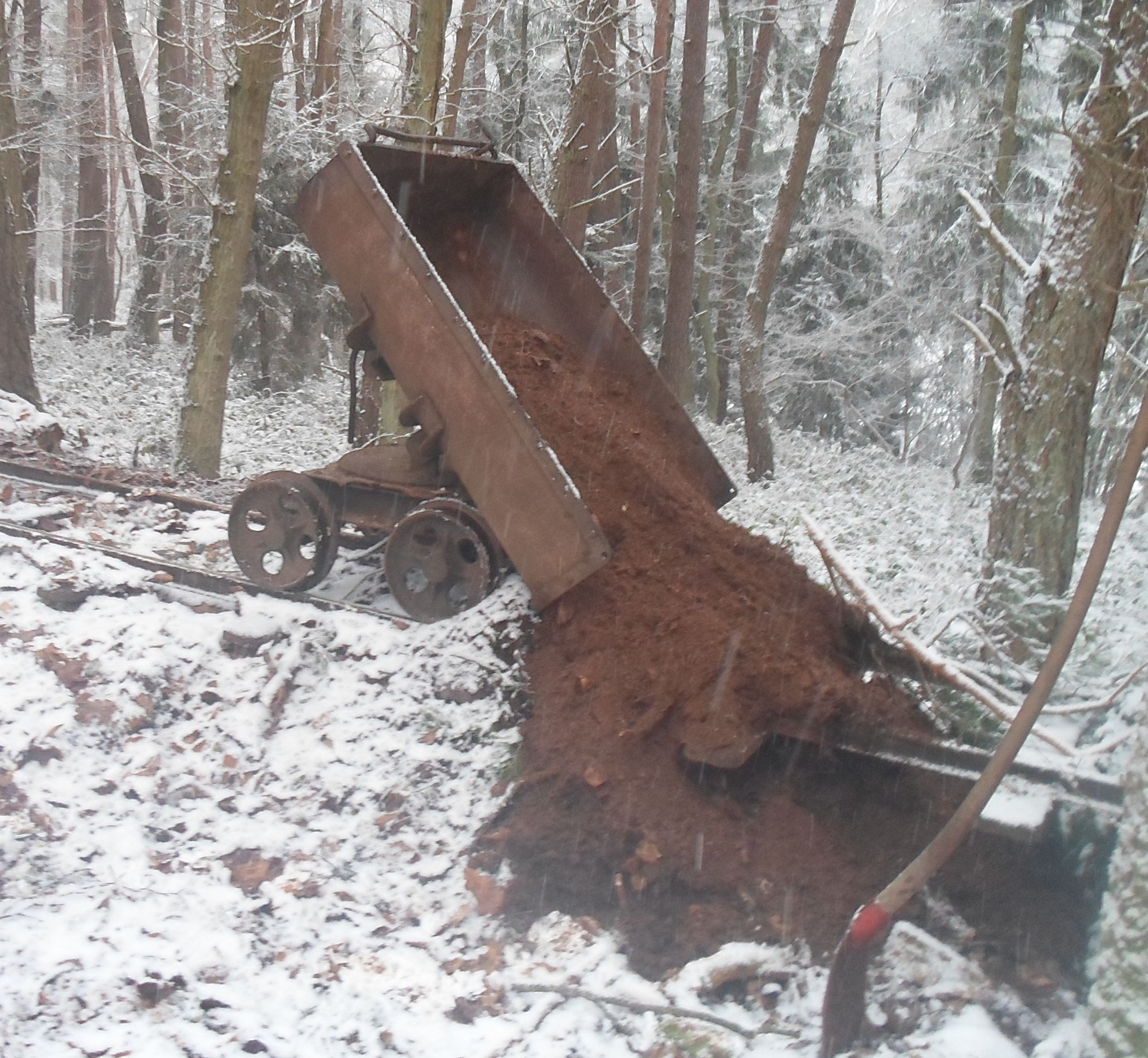hier bei erdarbeiten im Wald