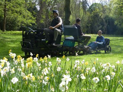 Blumenbild im Schlossgarten