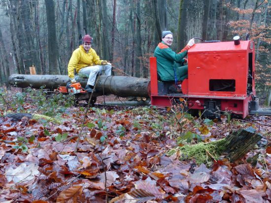 Unser Waldbahnzug
